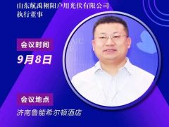 2020戶用大會丨丁文磊 航禹栩陽戶用光伏執行董事