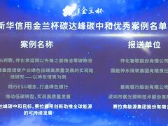 實至名歸！賽拉弗榮膺“新華信用金蘭杯”ESG優秀案例獎