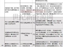 超20個“源網荷儲”一體化項目上半年開工、簽約、投產