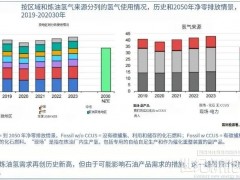 IEA：全球氫能需求今年將達1億噸！中國電解槽產能占八成！