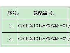 甘肅200MW風(fēng)電項(xiàng)目競(jìng)配！要求配儲(chǔ)