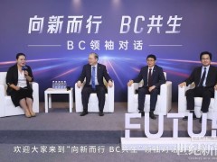 六歲BC已現王者風范，TOPCon企業相繼“跟進”