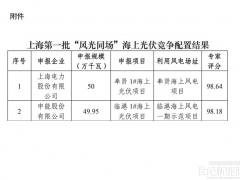 國家電投、申能中標(biāo)！上海公布1GW海上光伏項(xiàng)目競配結(jié)果