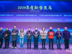 林洋儲能榮膺“2024年新勢黑馬”稱號 以創(chuàng)新驅動助力綠色能源發(fā)展