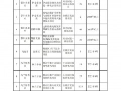 1265萬千瓦！內蒙古廢止三批市場化并網新能源項目！